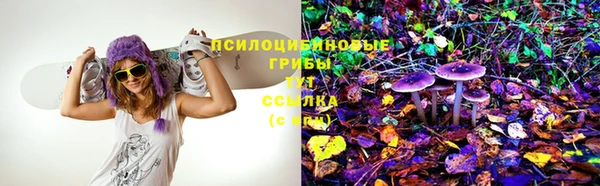 прущая мука Зеленокумск
