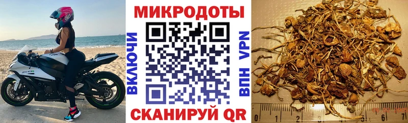 Галлюциногенные грибы Psilocybe  Купить  Верхотурье 